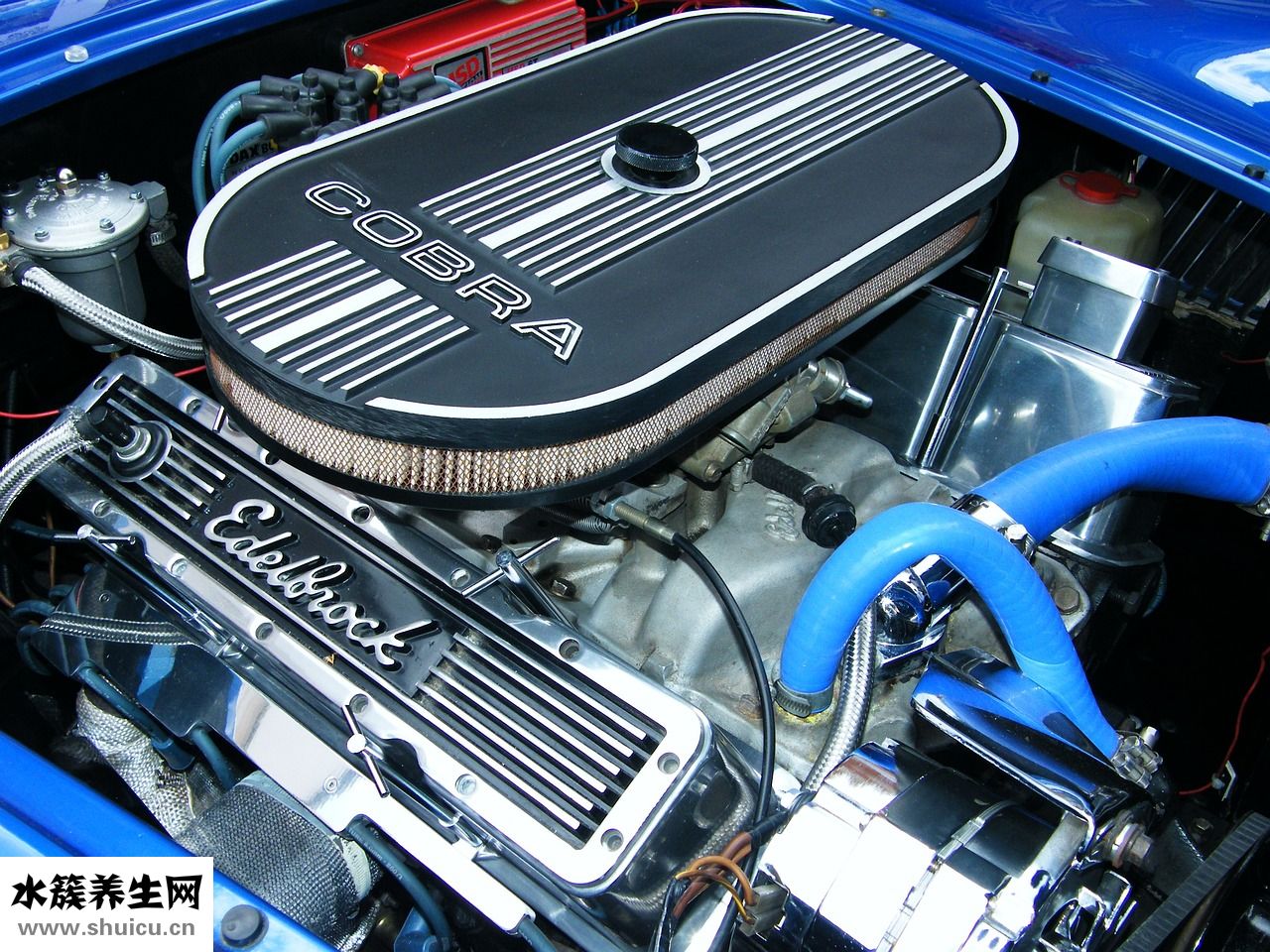 金感欣片怎么樣