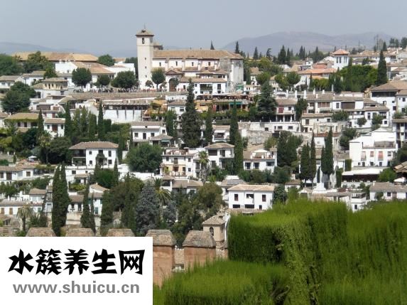 春雨是怎么樣的