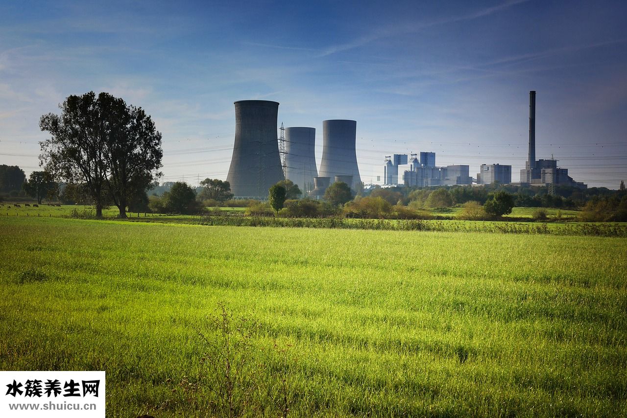 自制飛機杯怎么樣