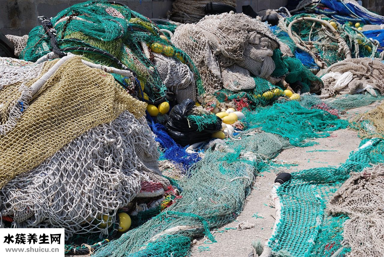 深海襯衫怎么樣