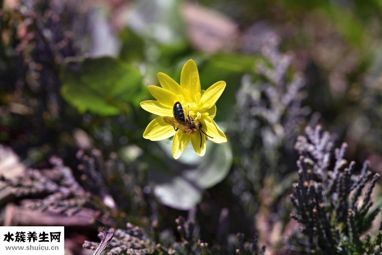 怎么樣嘴唇才會紅潤