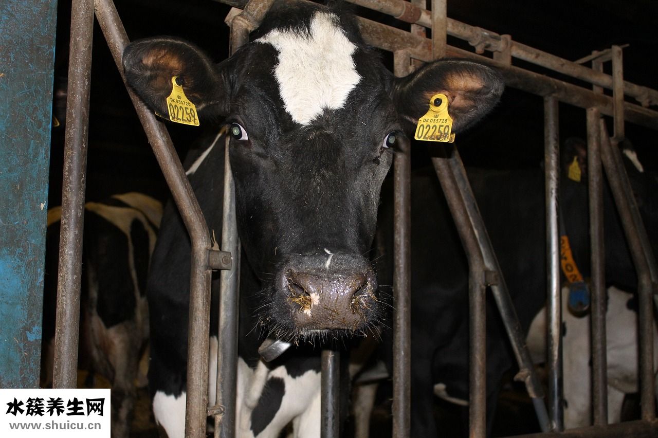 睡覺打鼾怎么辦