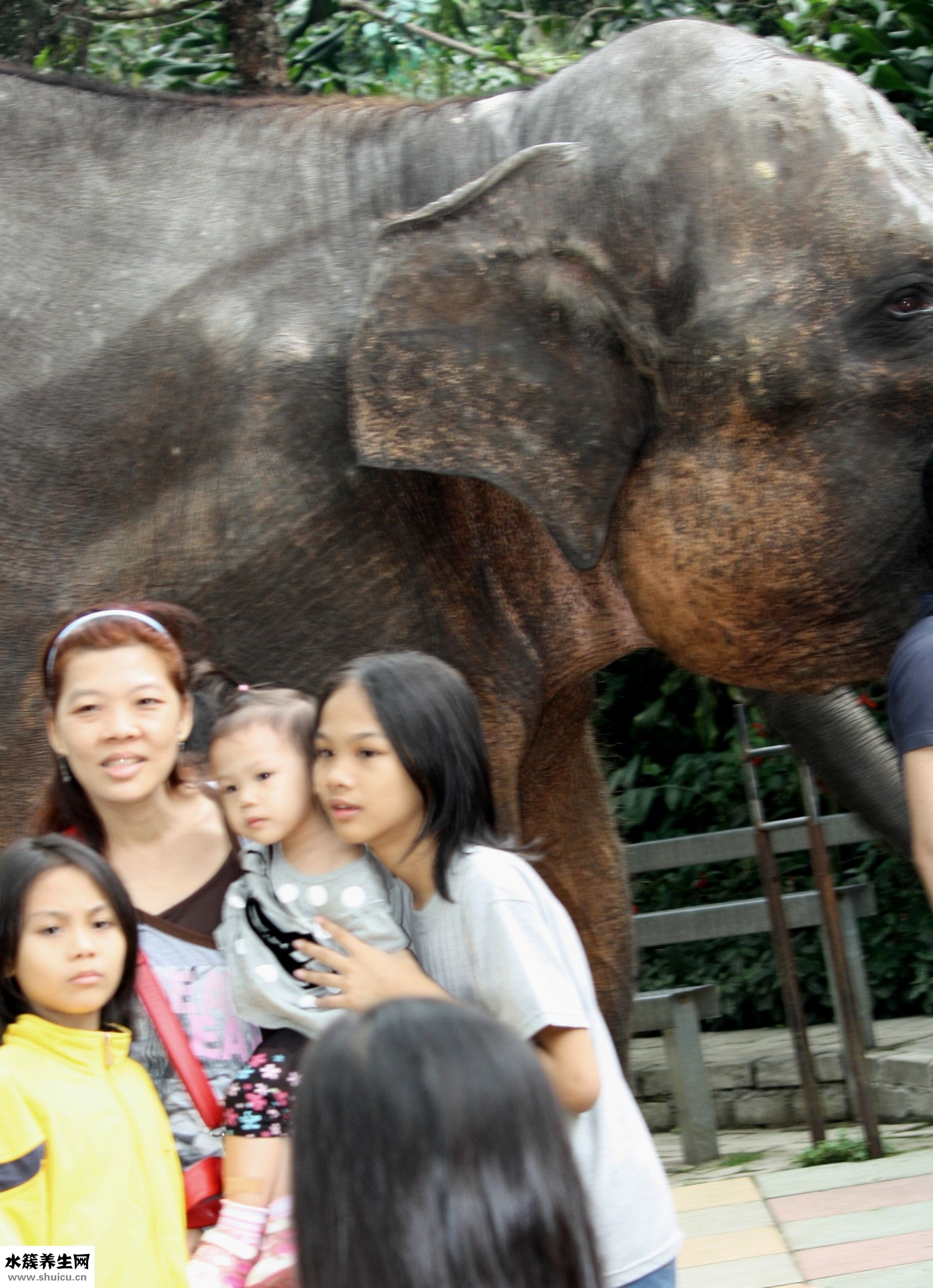 安安兒童膏怎么樣