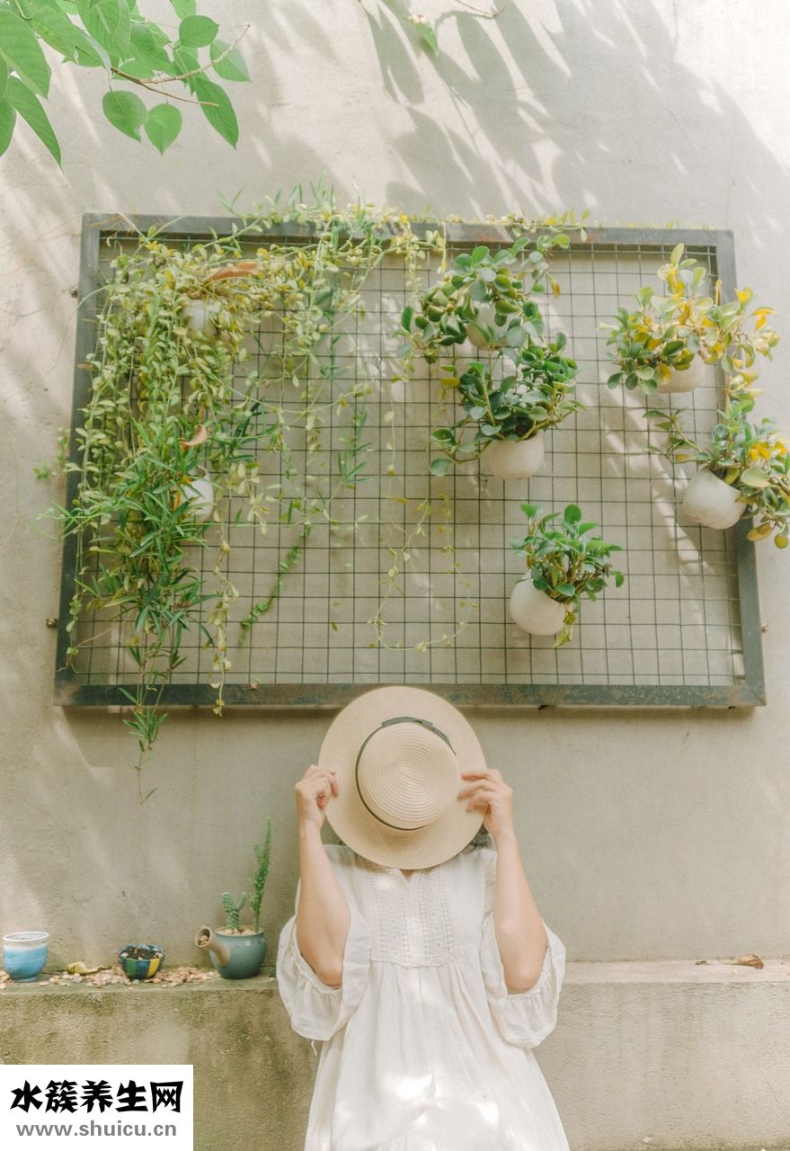 怎么樣毛囊長新發