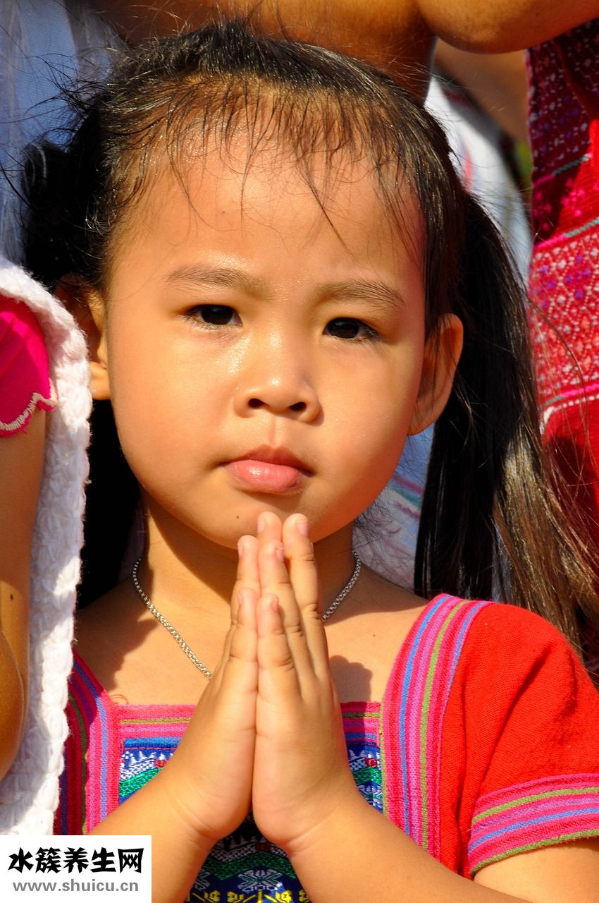 泰國斗魚吃什么