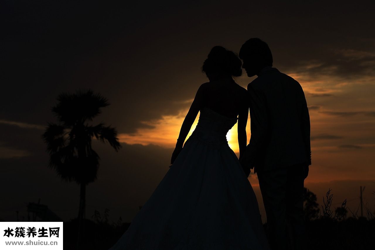 泰國斗魚吃什么