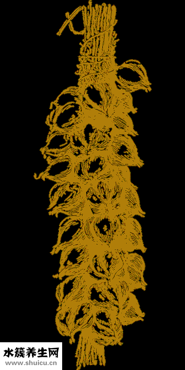 怎么樣能讓狗變溫順