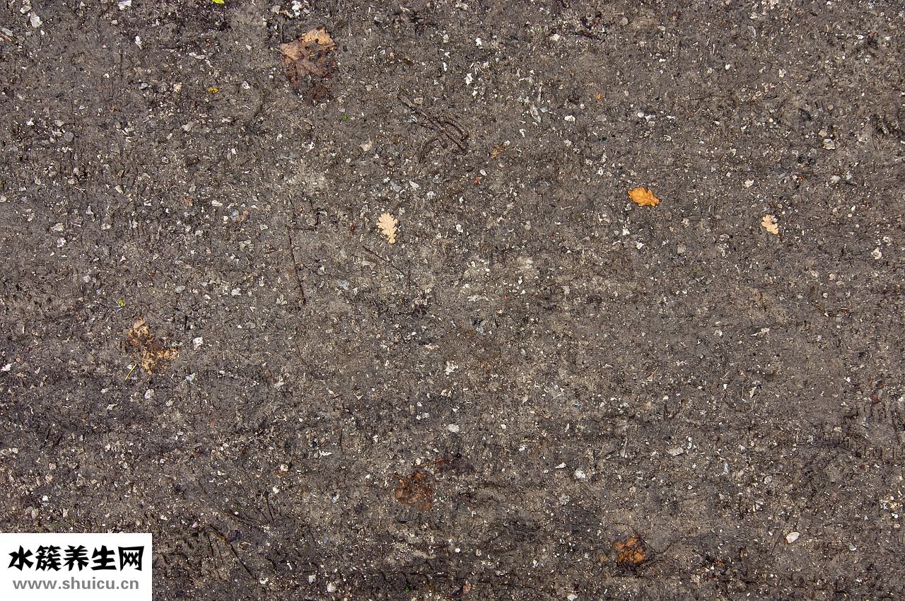 怎么清洗紫甘藍(lán)