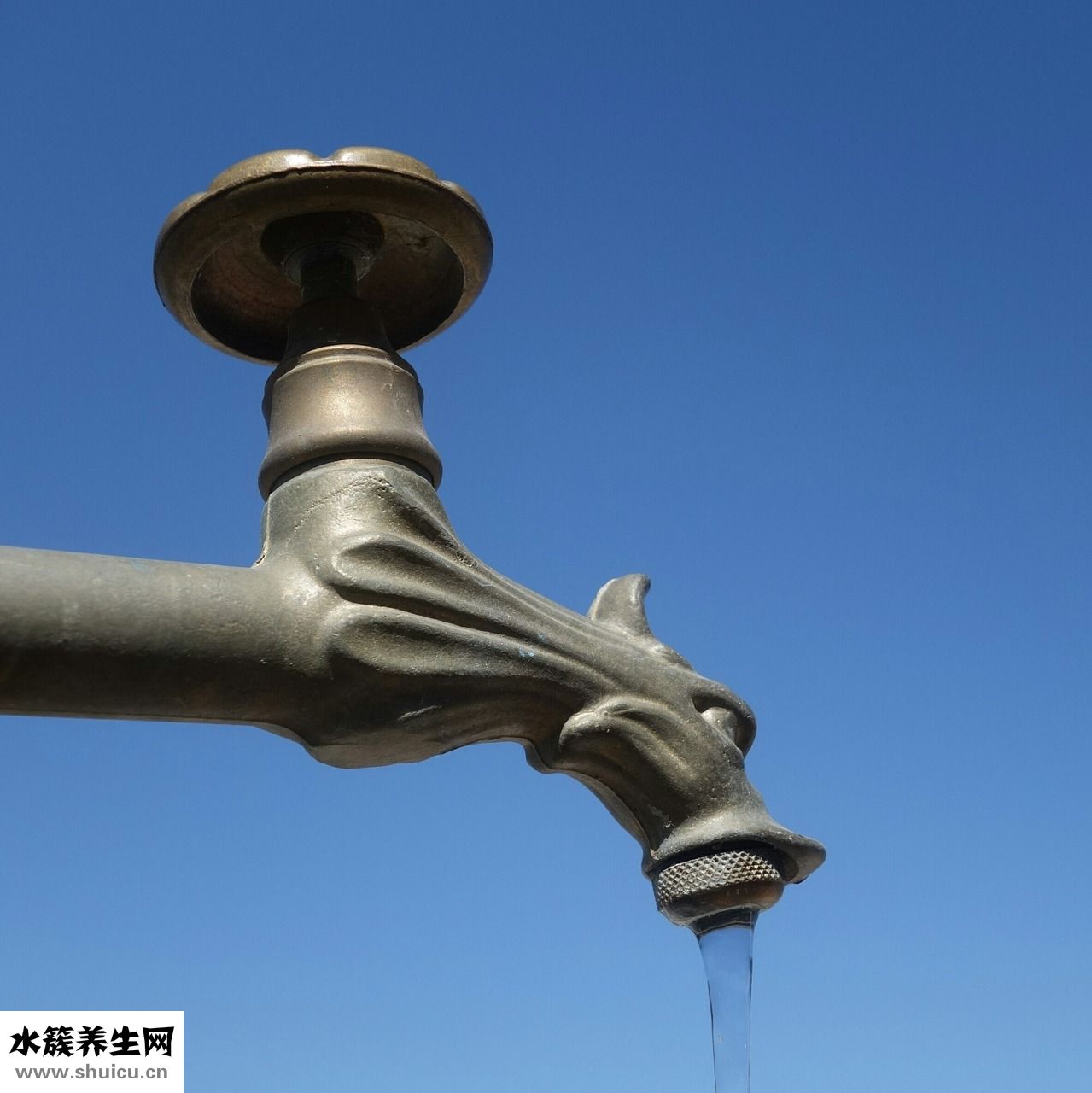 發燒雞蛋清怎么降溫