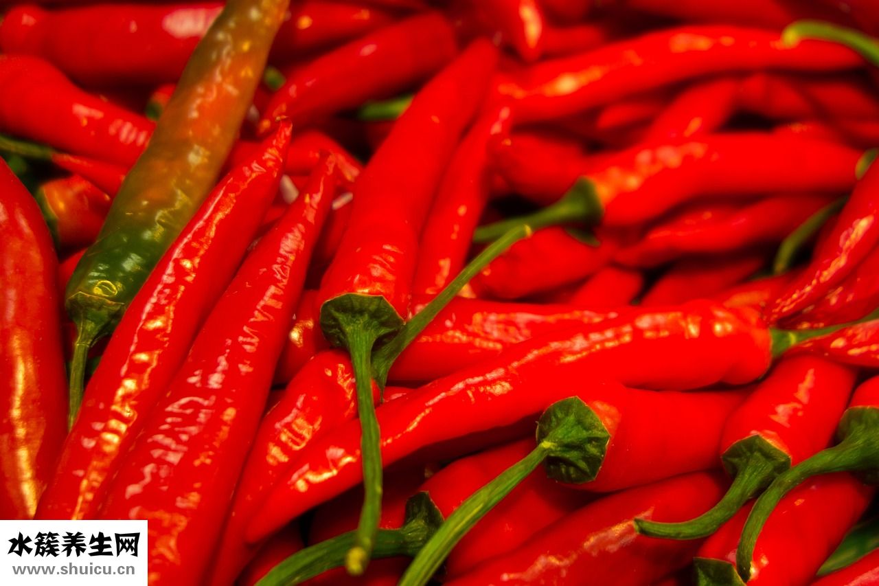 豬仔腸怎么做好吃