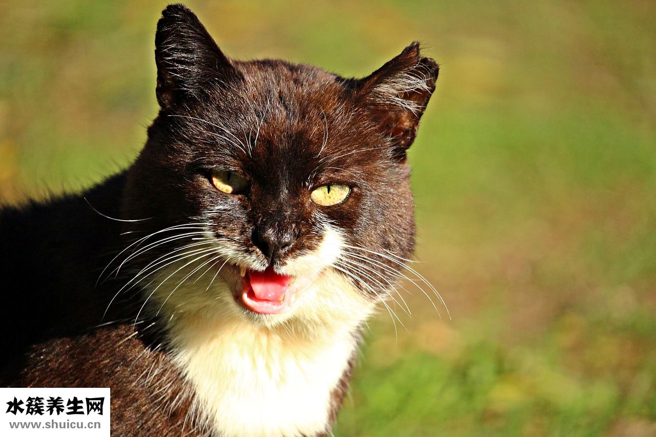 怎么提拔護(hù)士長(zhǎng)