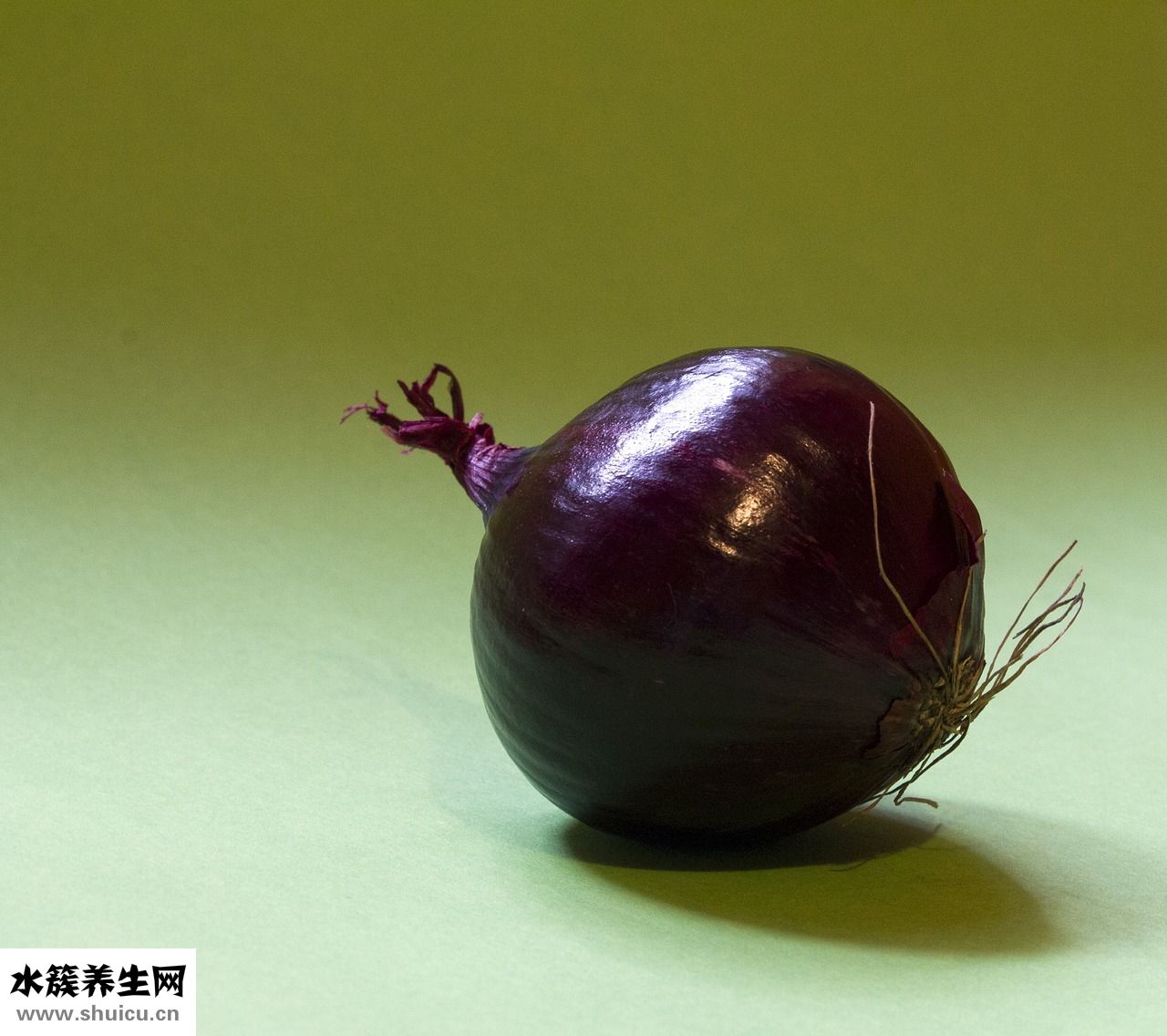 干煸魷魚須怎么做