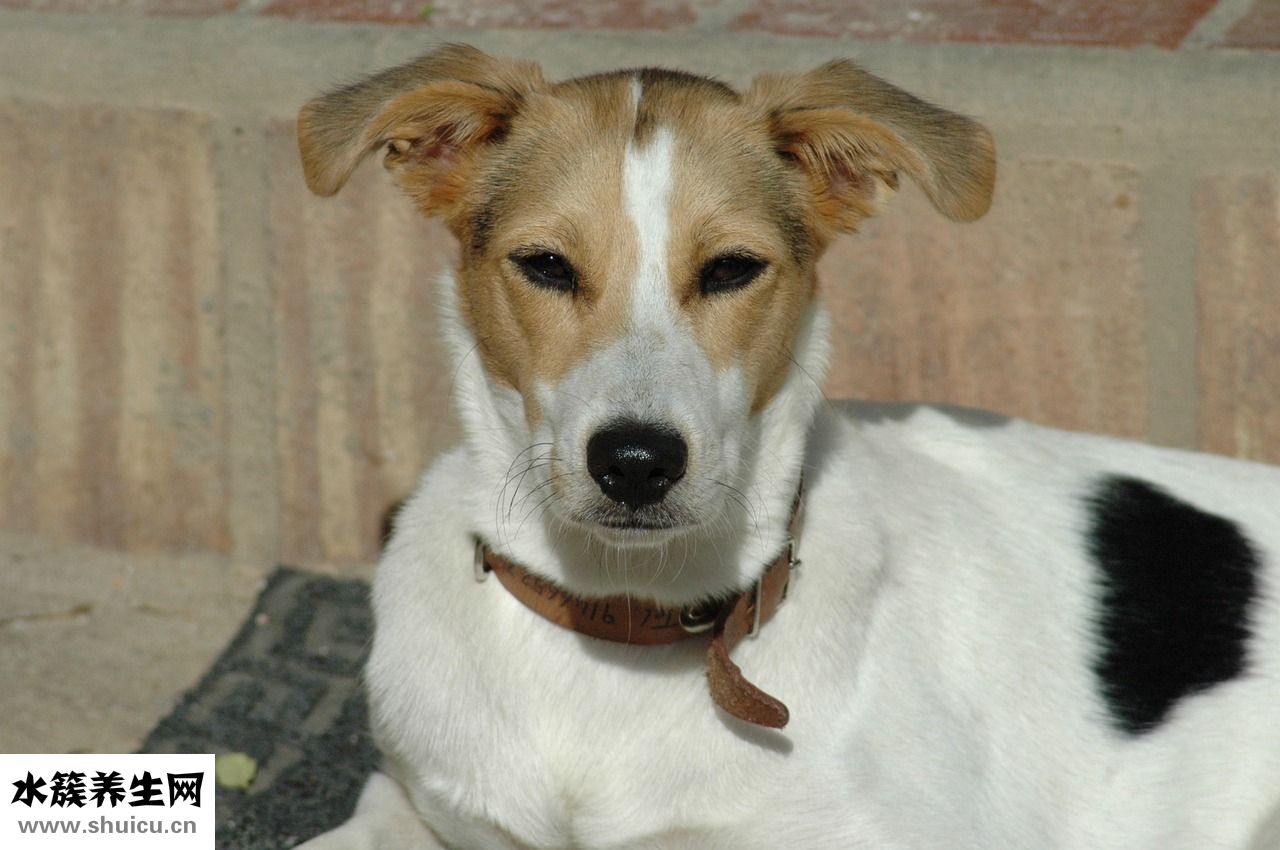 怎么防止臉上長斑