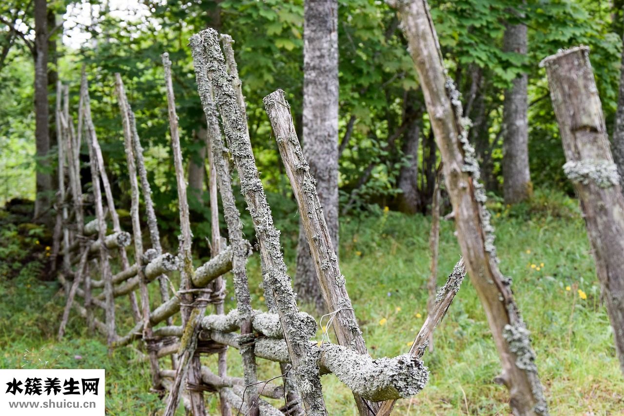 糖尿病試紙怎么用