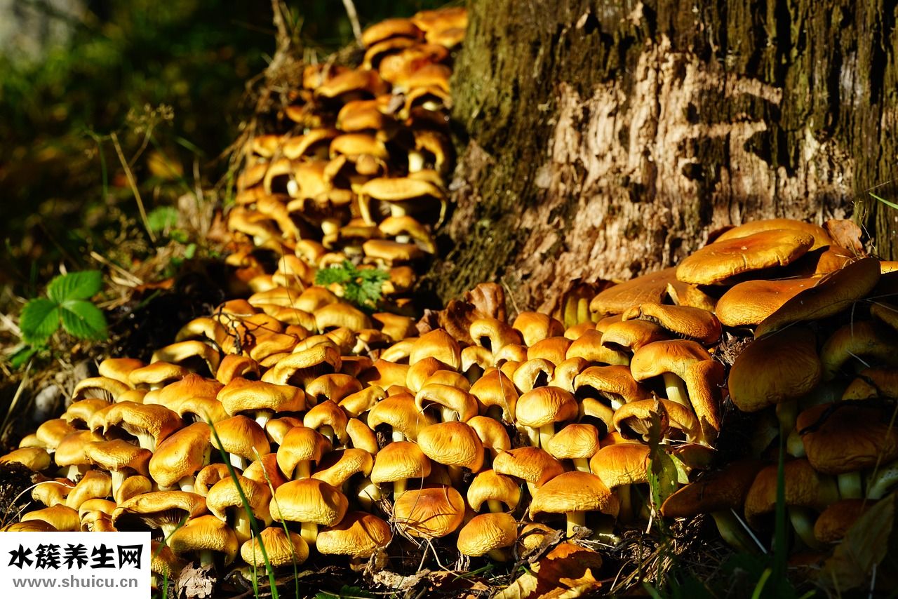 長癬了怎么治療