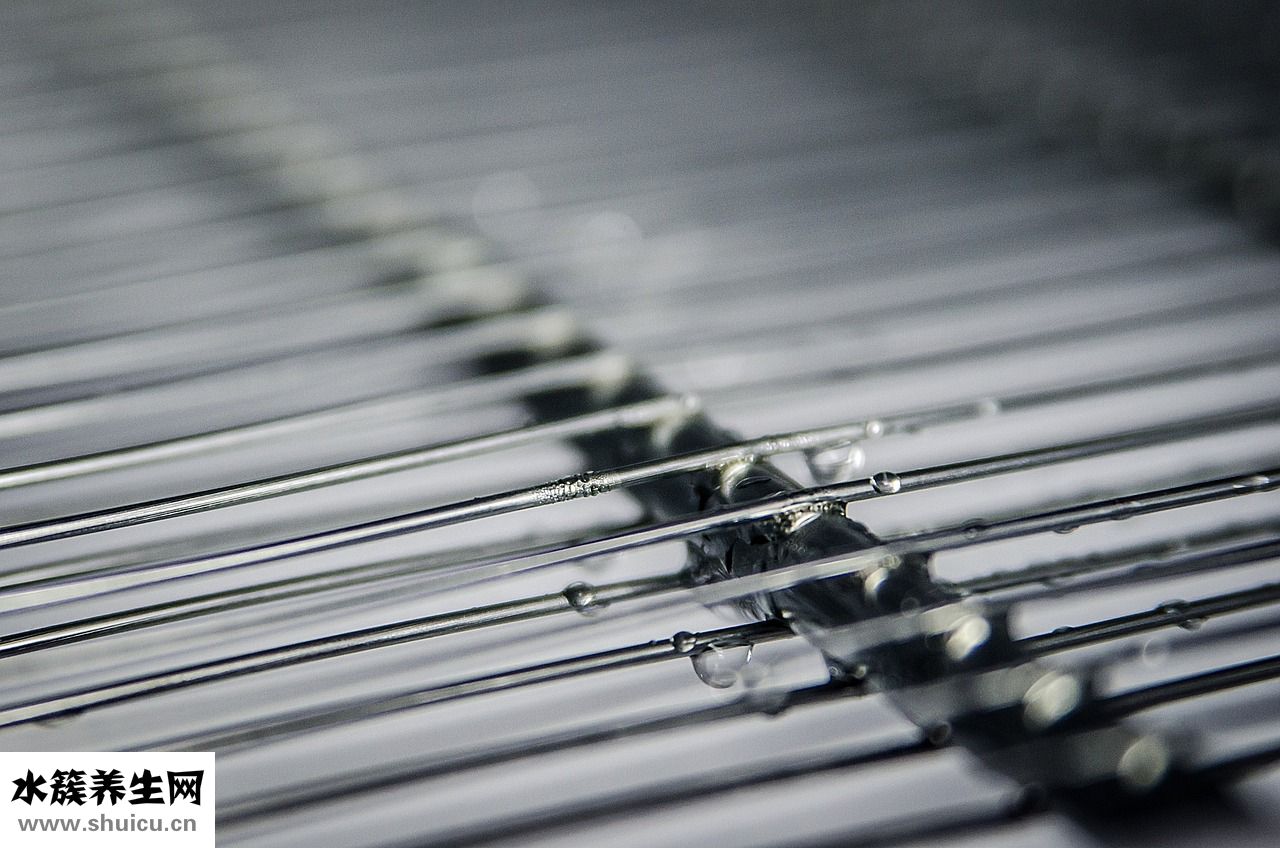 凍扇貝怎么處理