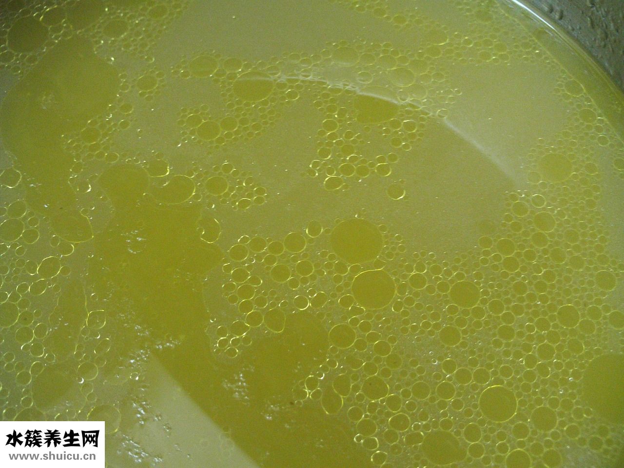 金粉世家包包怎么樣