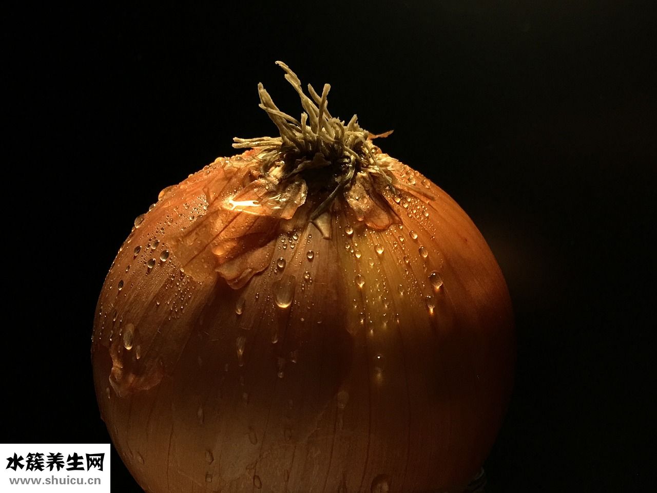 生蝦怎么做好吃