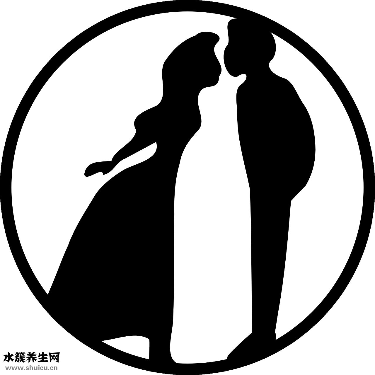 怎么查質(zhì)粒序列