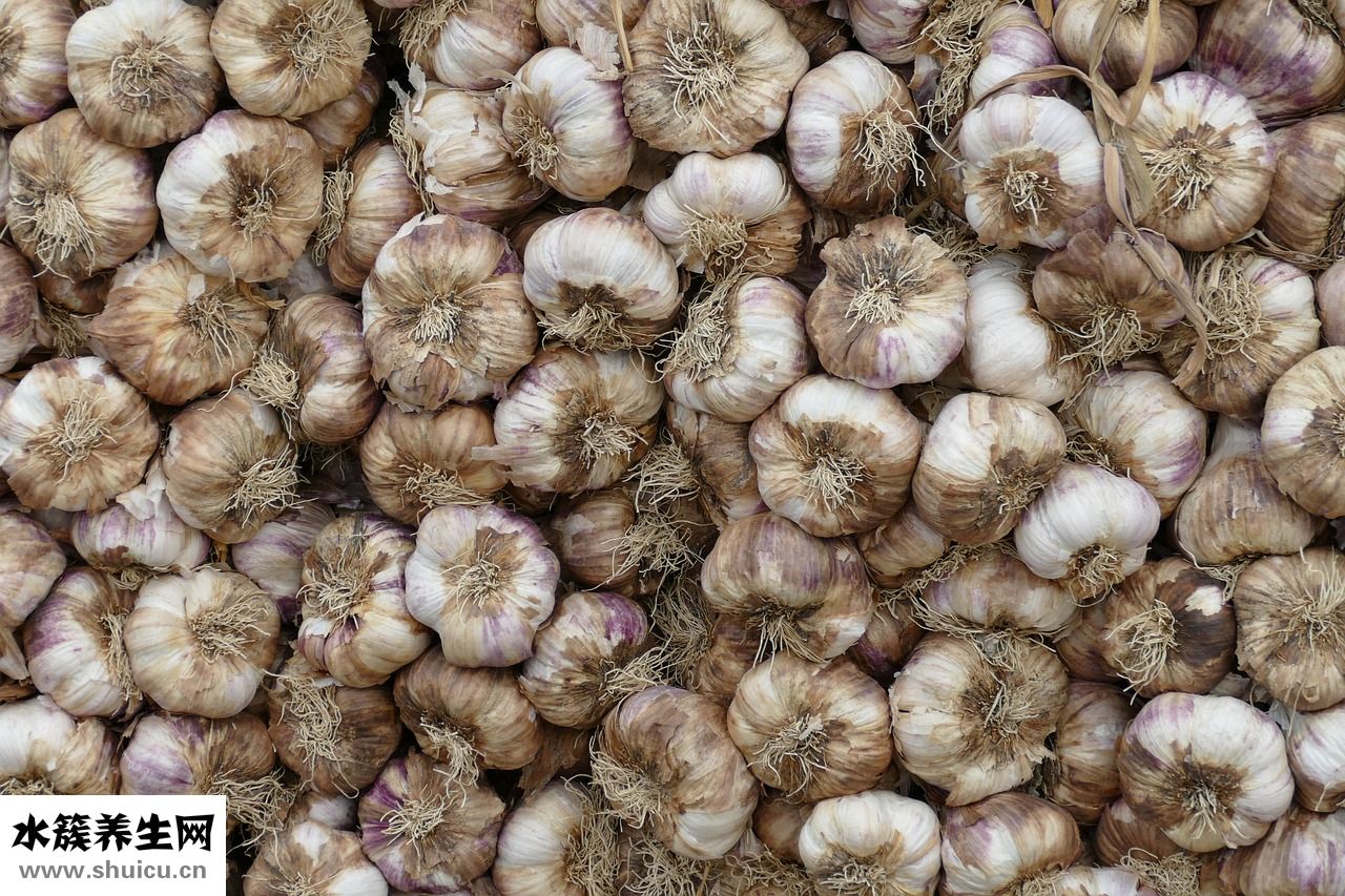 魚缸里有蚊子怎么辦