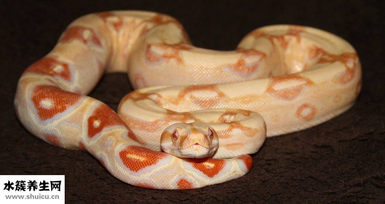 產(chǎn)后大出血怎么辦