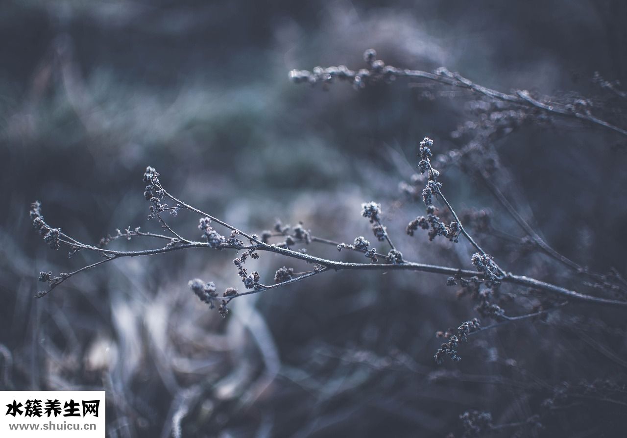 眼睛長怎么畫眼線