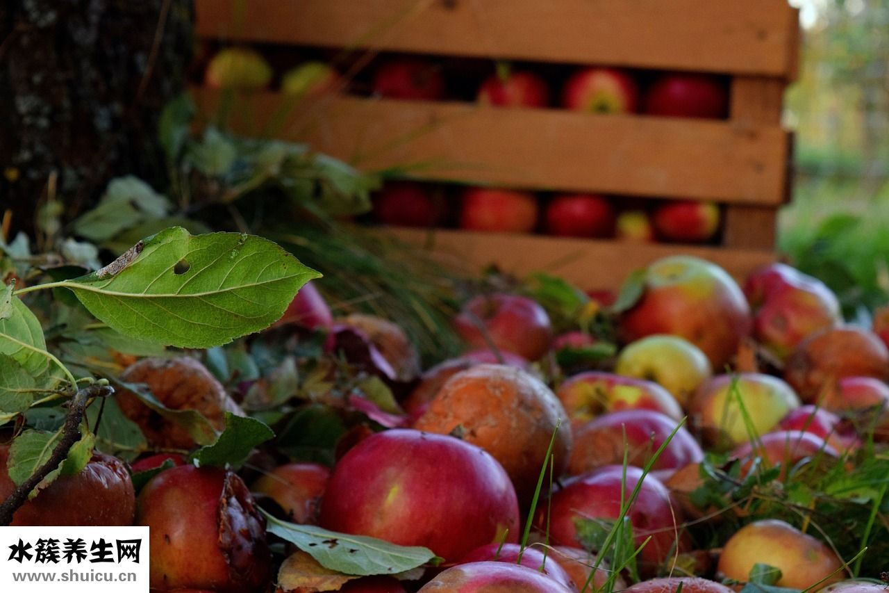 蘋果渣怎么吃