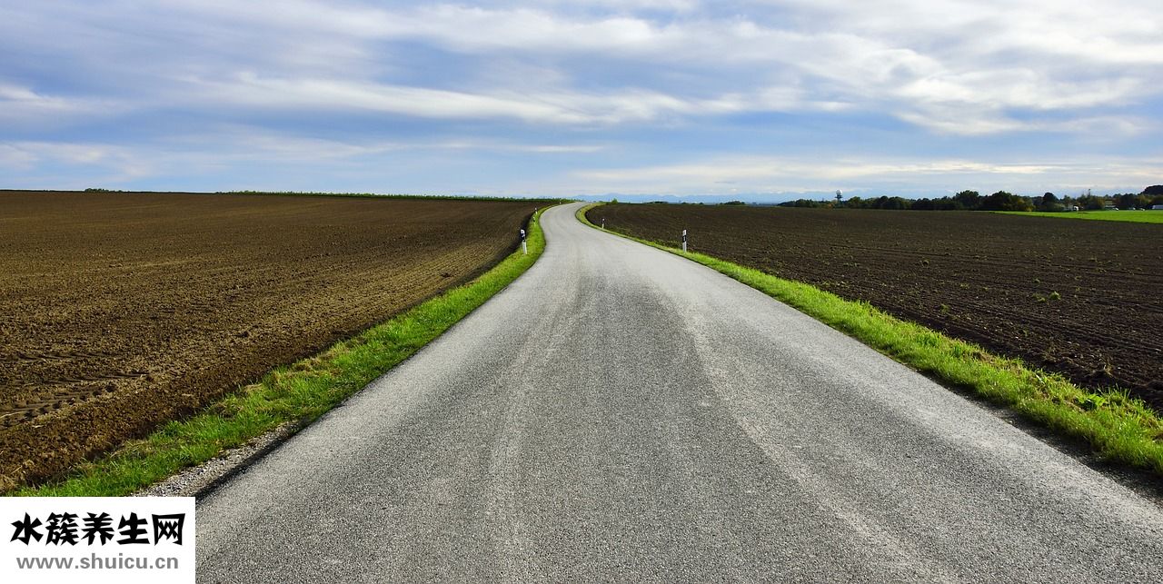 初婚初育證明怎么寫