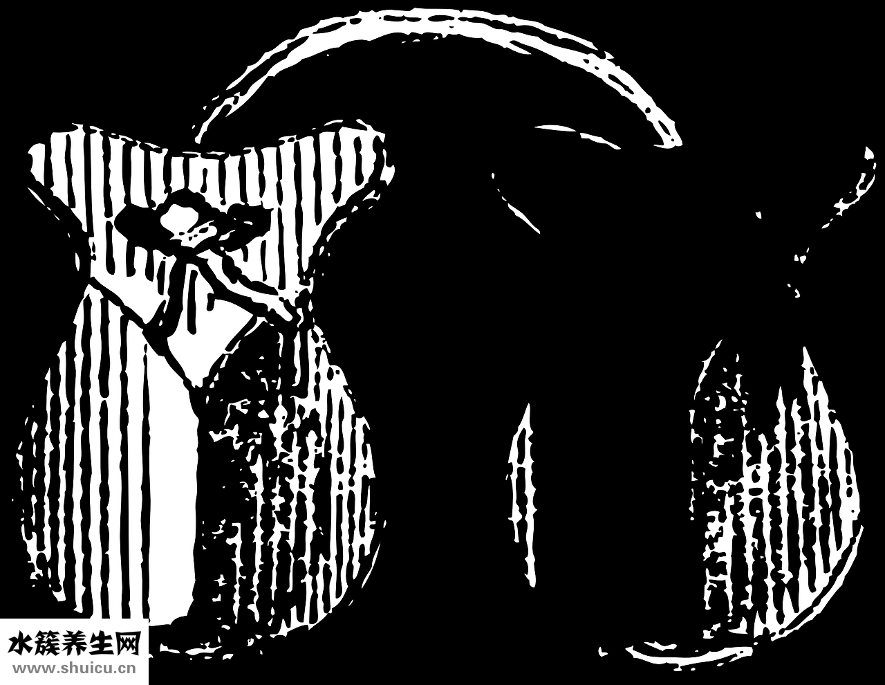 味覺異常怎么辦