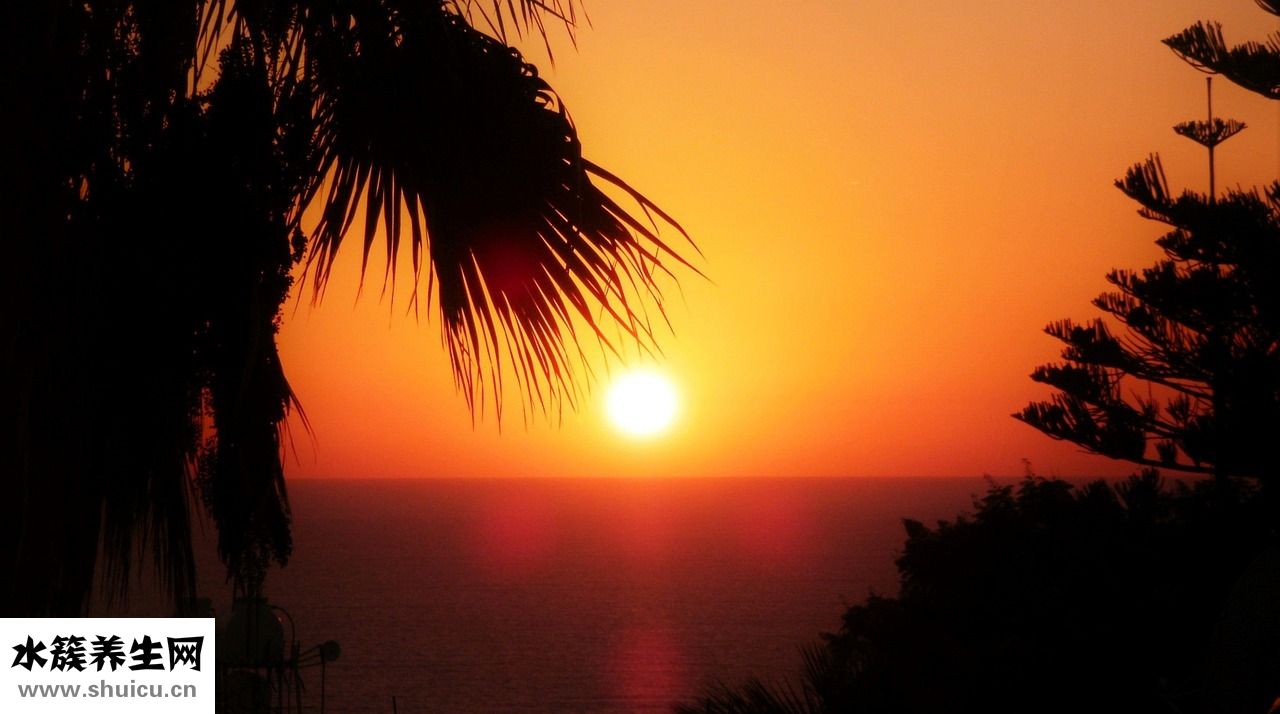 不點痦子怎么除去