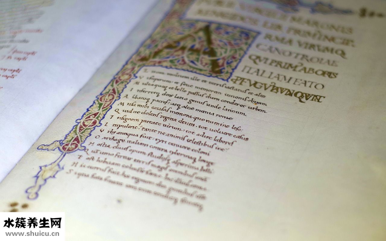 初婚初育證明怎么寫