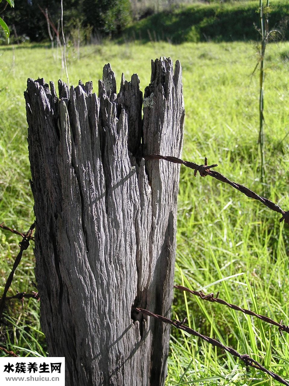 臉發木怎么回事