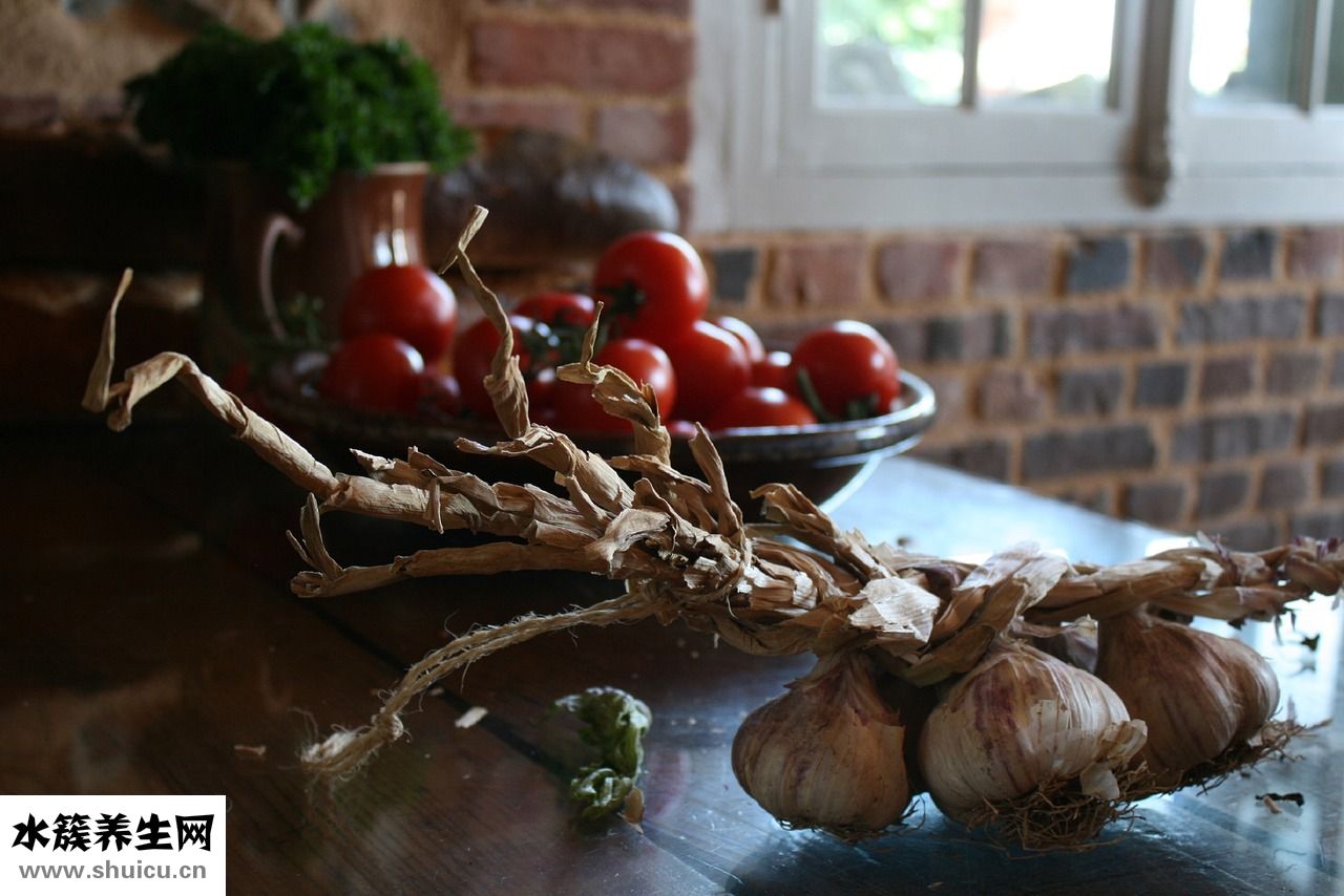 虎皮鸚鵡怎么照蛋