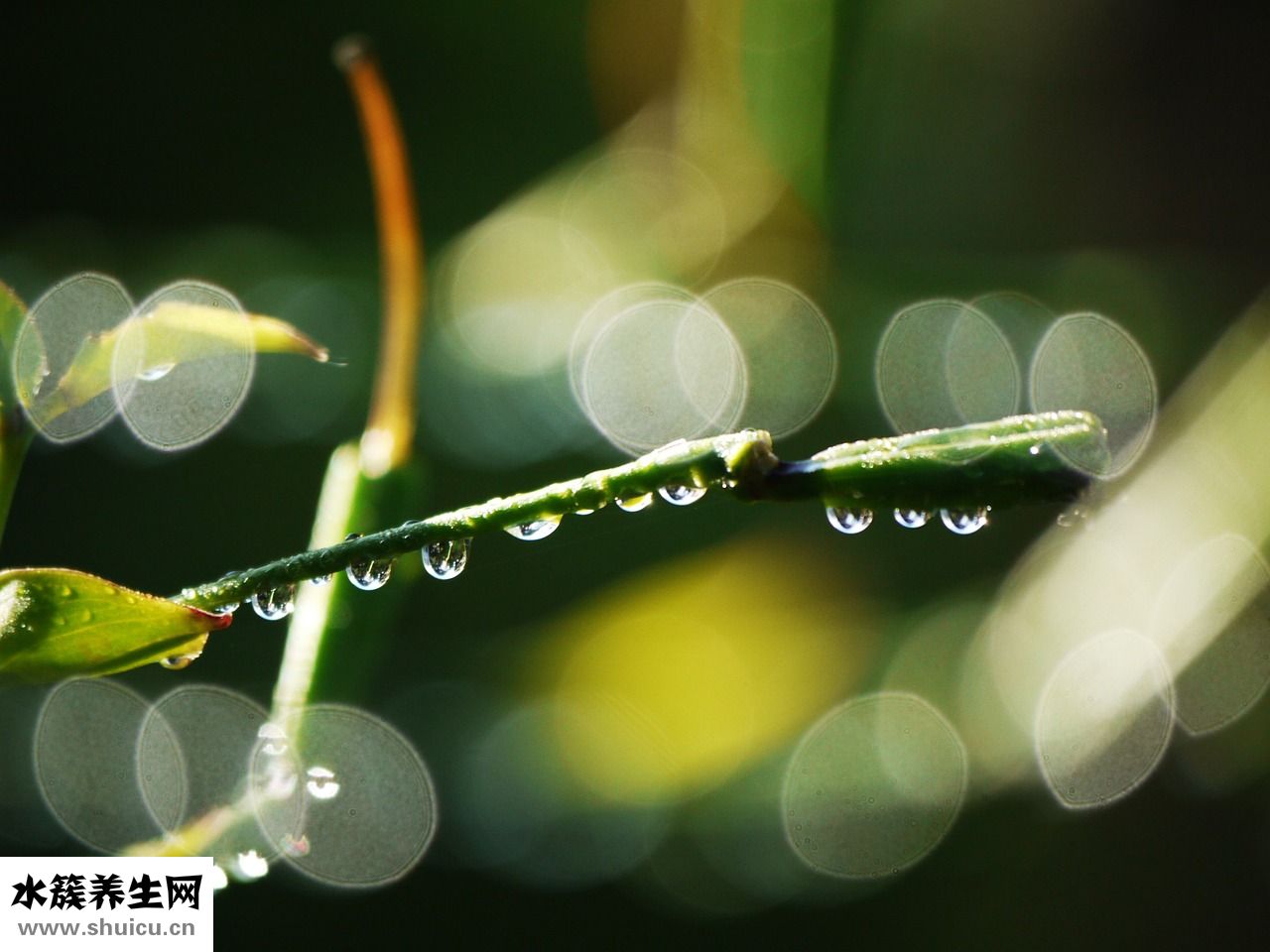 頭冒涼風(fēng)是怎么回事