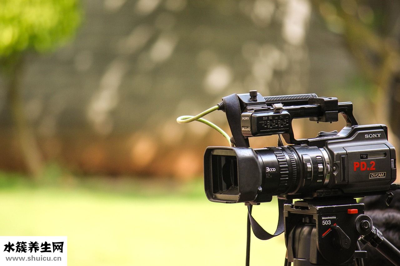 榨菜肉絲鹵怎么做