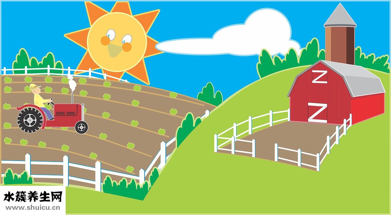 把脈怎么把出感冒