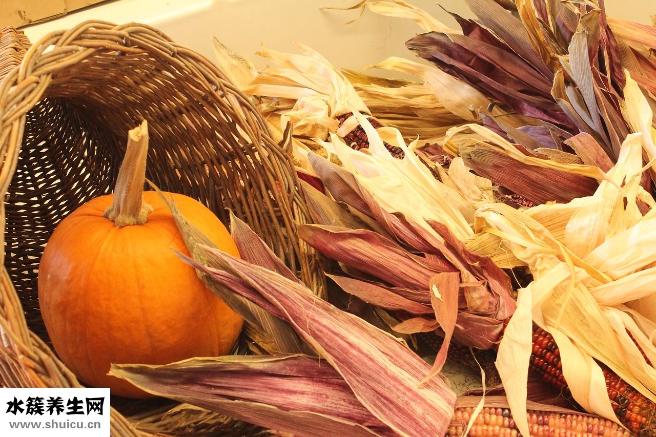 虎皮鸚鵡怎么照蛋