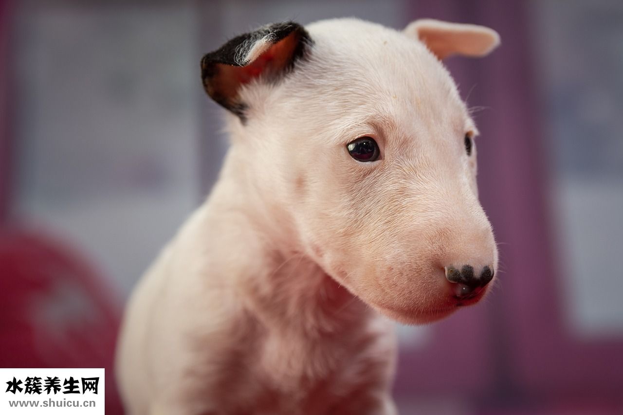 第一次上床怎么做