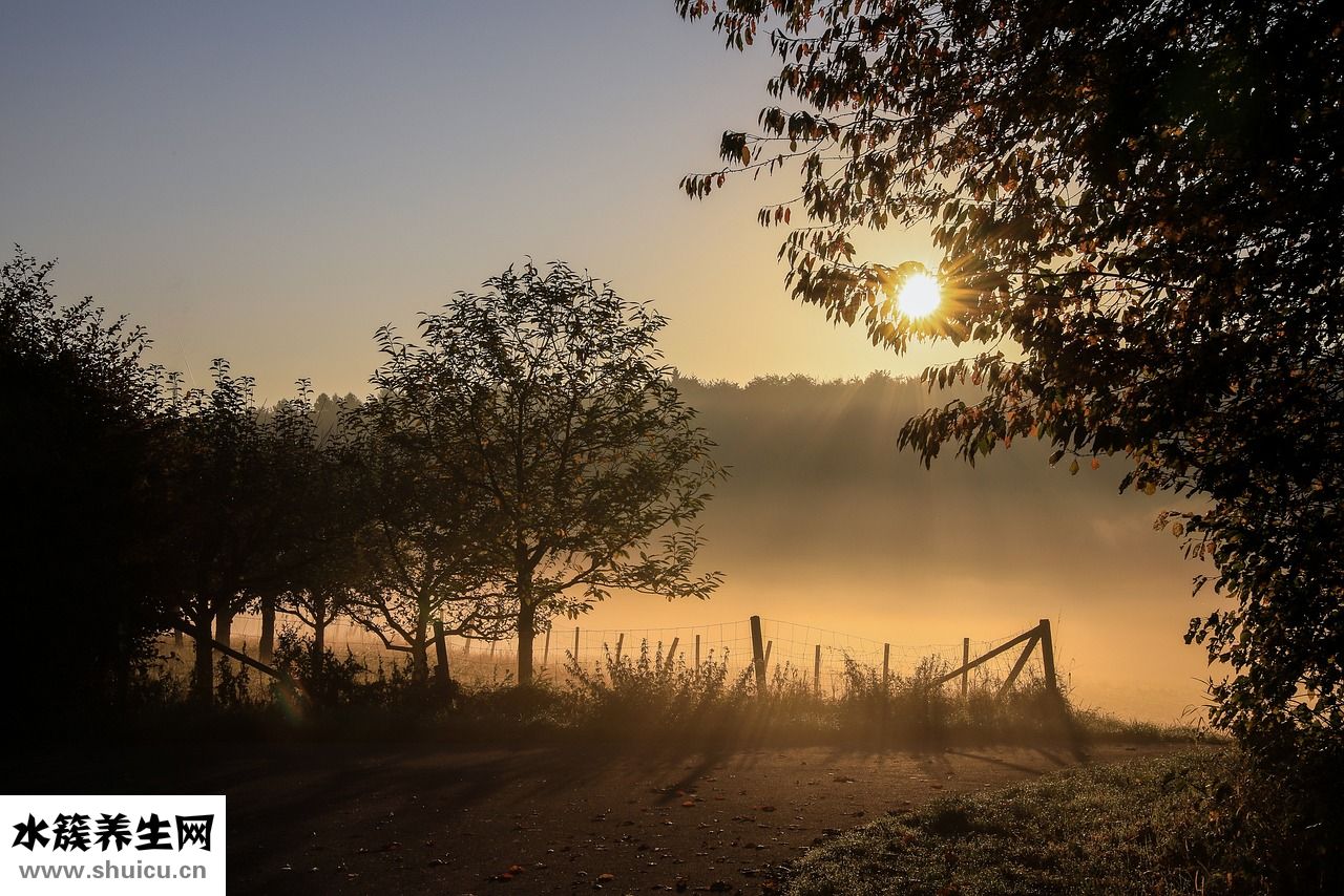 怎么判斷女人懷孕