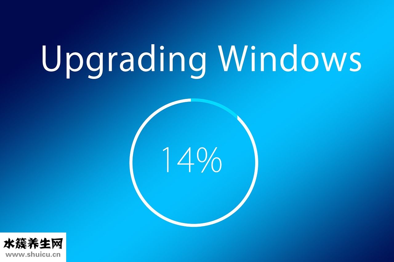 接吻魚不怎么動(dòng)