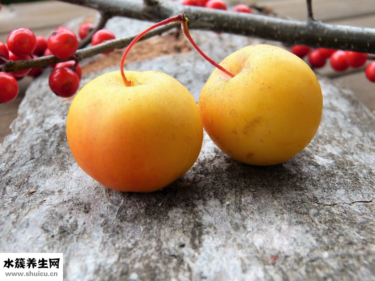 沒膿的痘痘怎么辦