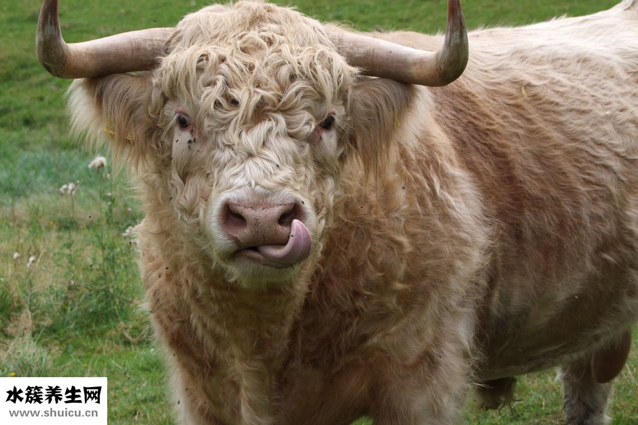 怎么形容東西好吃