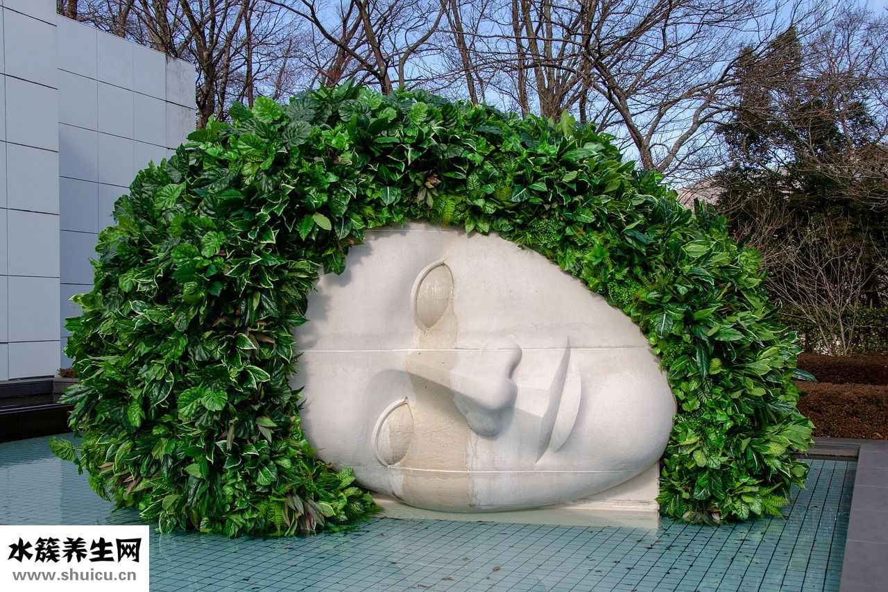 頭發(fā)很粗怎么辦