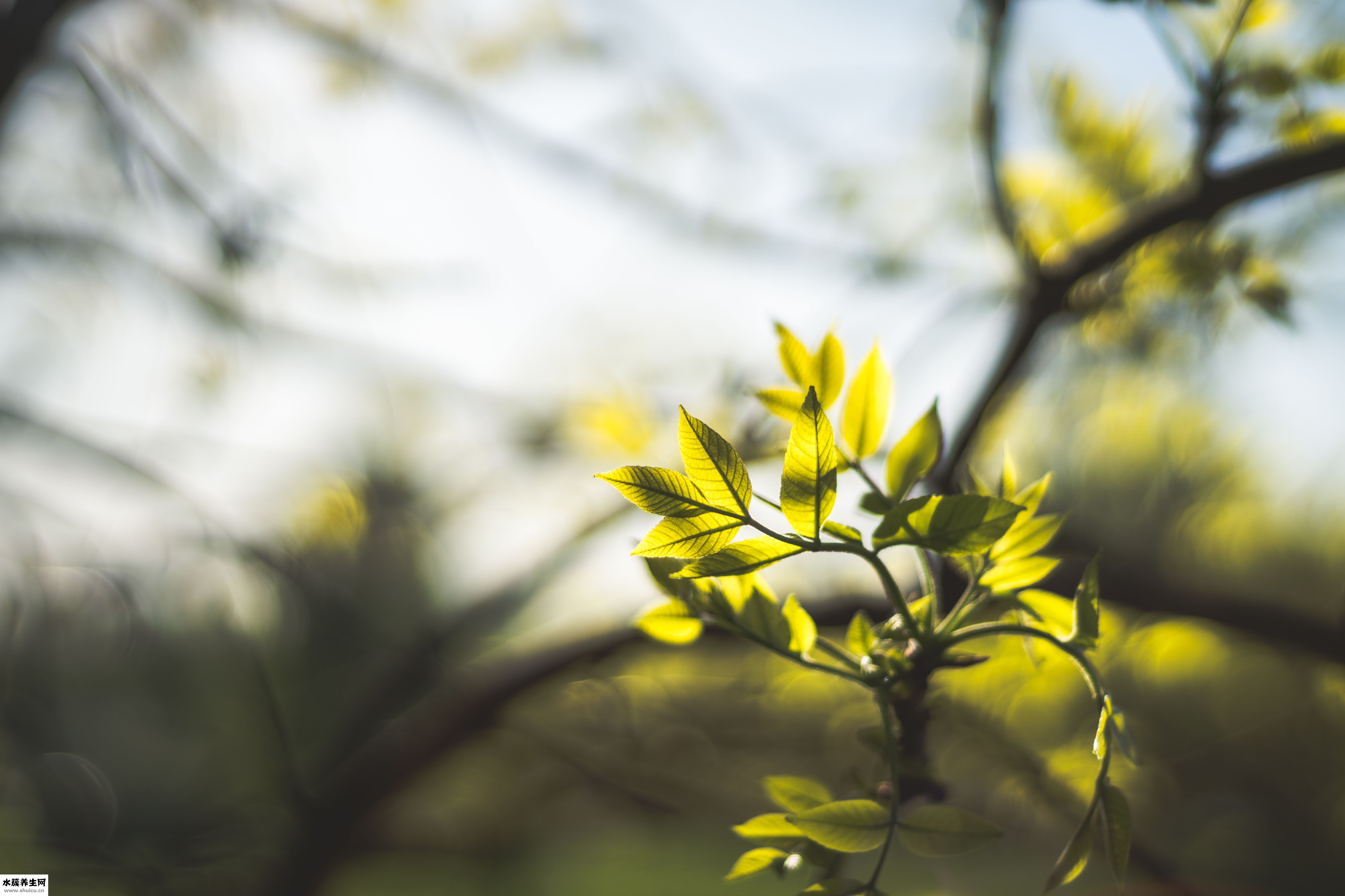 怎么判斷女人懷孕