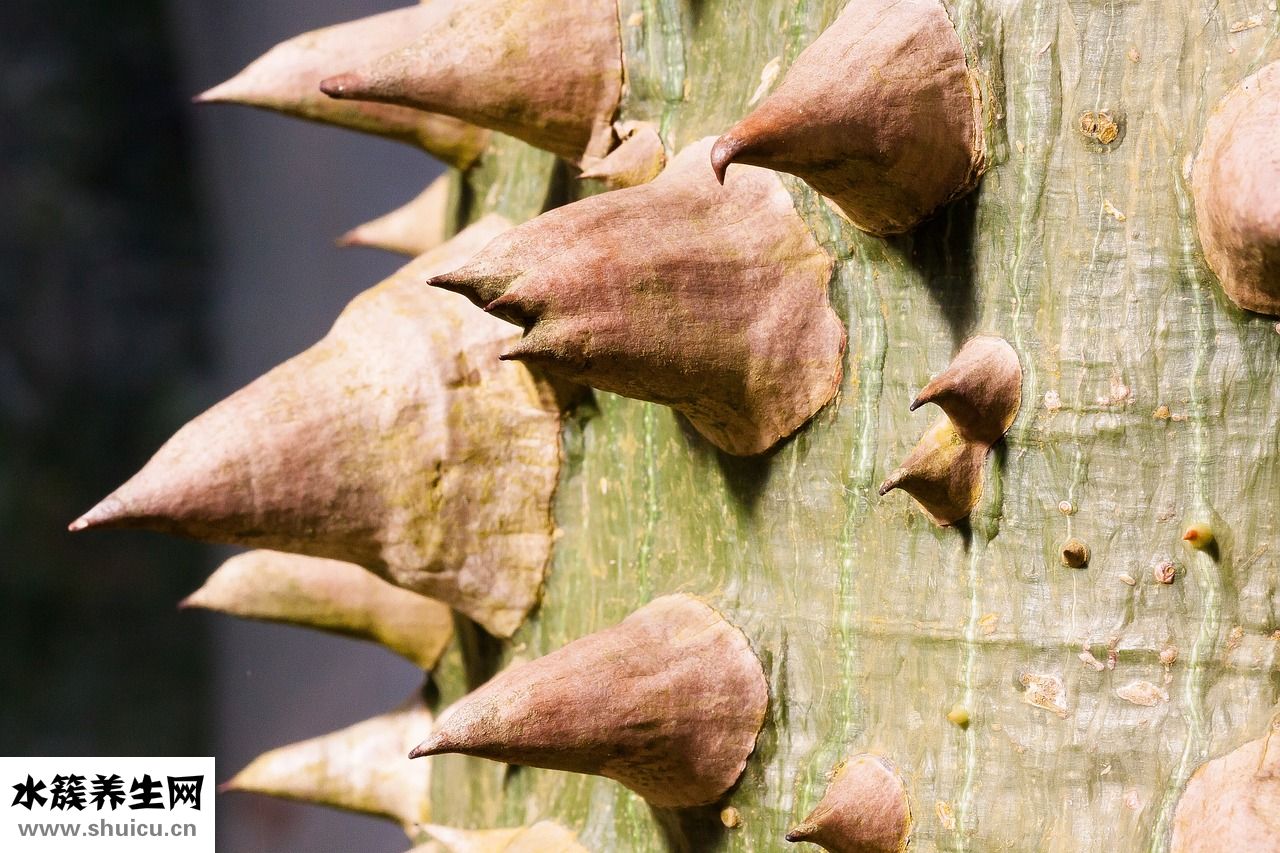 肌酣低是怎么回事