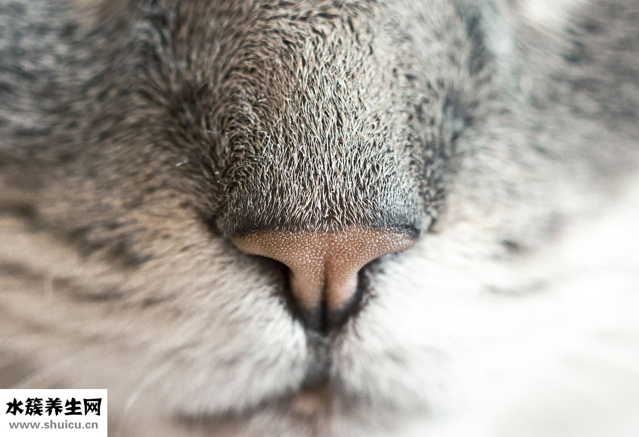 陰部毛少怎么辦