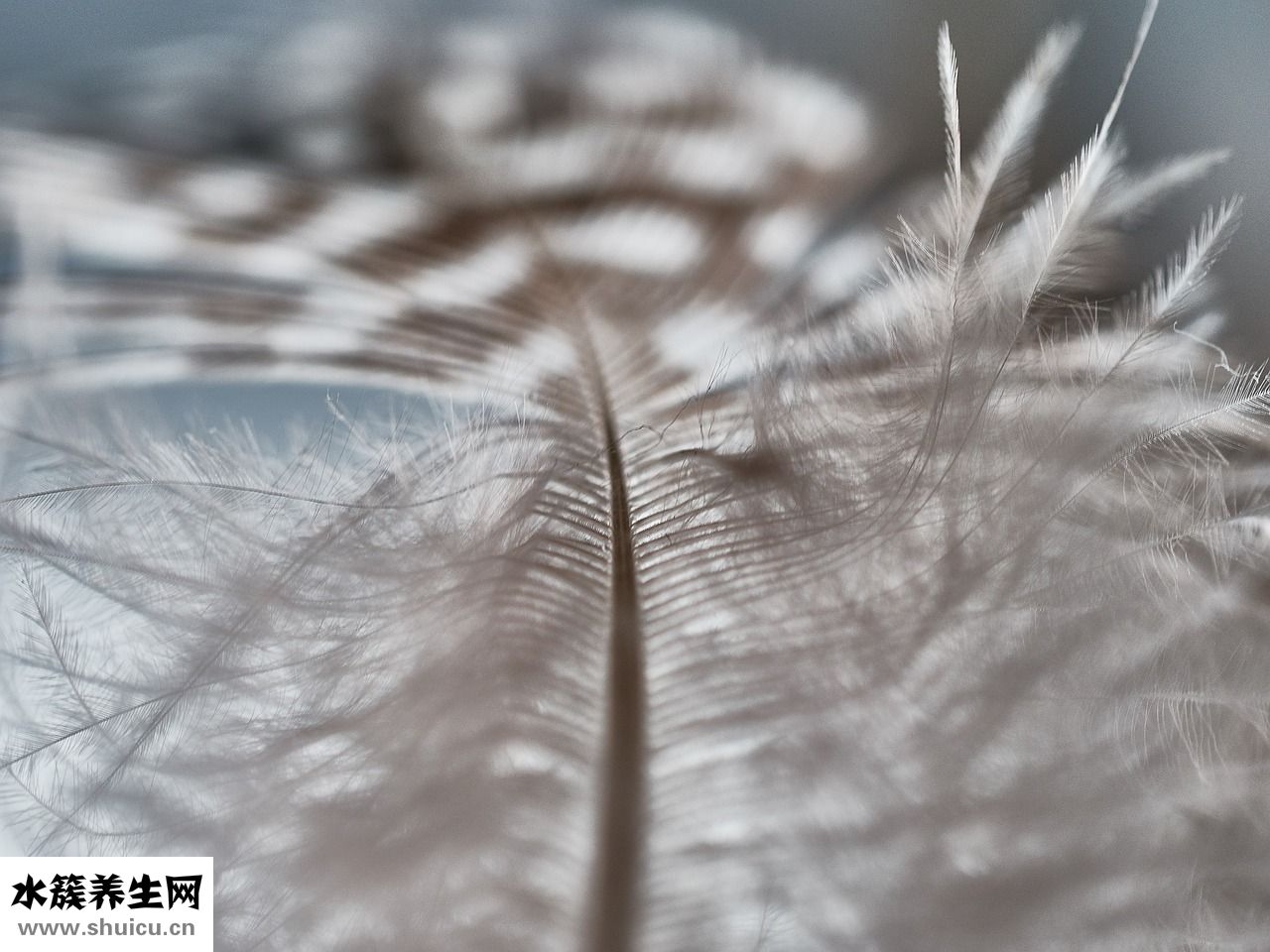 缺血性頭痛怎么辦