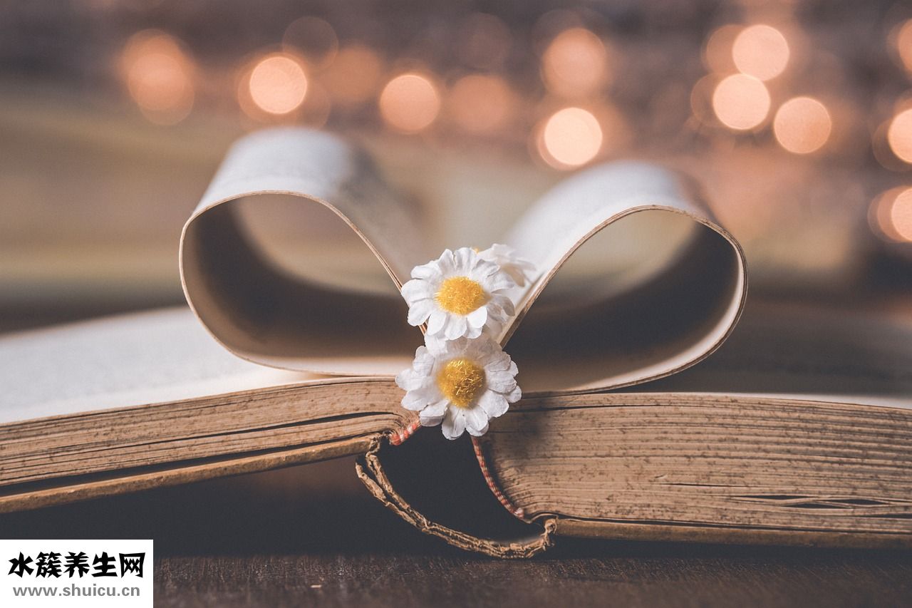 盡根牙痛怎么辦