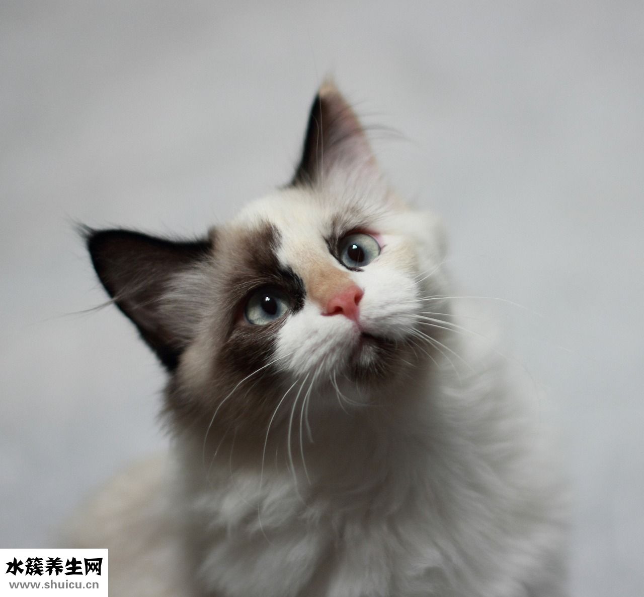 發(fā)尾微卷發(fā)型怎么弄