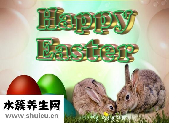 兔子死胎怎么辦